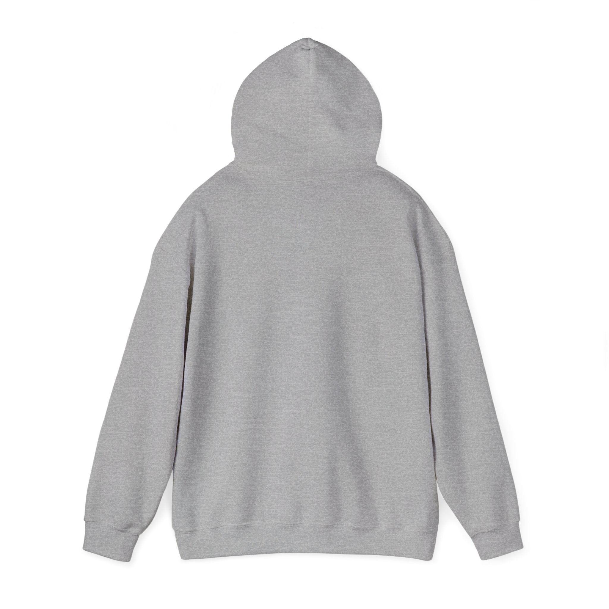 Hoodie — "Let’s Try to Limit the Bullshittery to Manageable Levels" Casual Slogan Pullover
